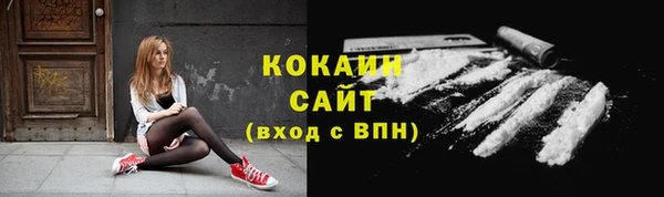 spice Осинники