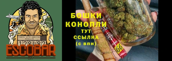 spice Осинники