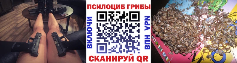 Псилоцибиновые грибы MAGIC MUSHROOMS Власиха